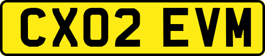 CX02EVM