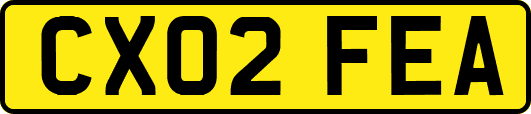 CX02FEA