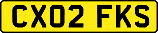CX02FKS