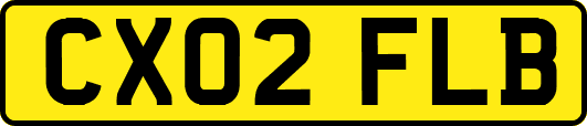 CX02FLB