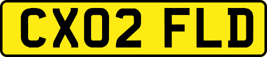 CX02FLD