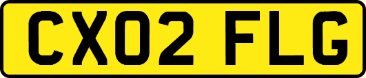 CX02FLG