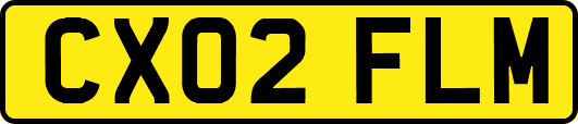 CX02FLM