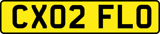 CX02FLO