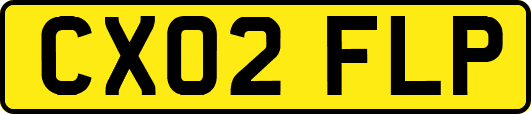 CX02FLP