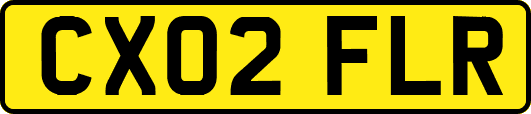 CX02FLR