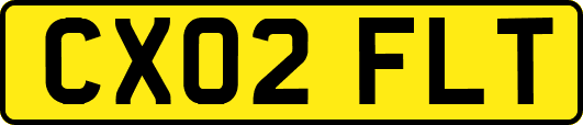 CX02FLT