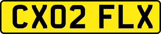 CX02FLX