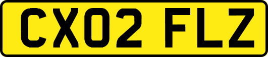 CX02FLZ