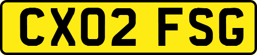 CX02FSG