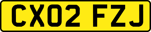 CX02FZJ