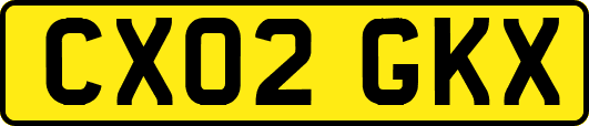 CX02GKX