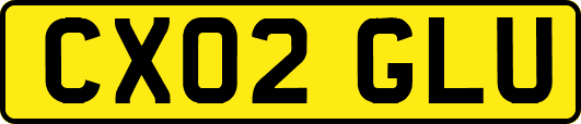 CX02GLU