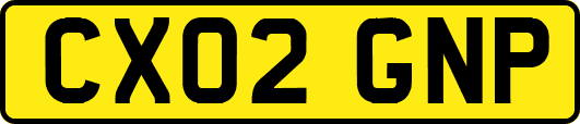CX02GNP