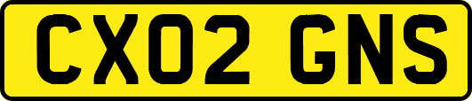 CX02GNS