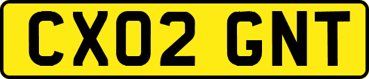 CX02GNT