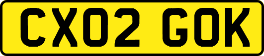 CX02GOK