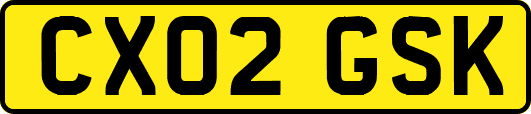 CX02GSK