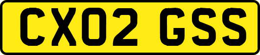 CX02GSS
