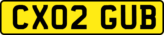 CX02GUB