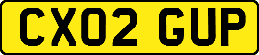 CX02GUP