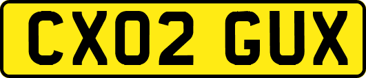 CX02GUX