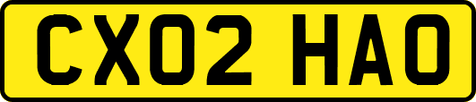 CX02HAO