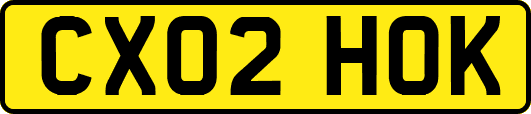 CX02HOK