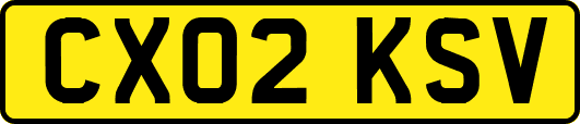 CX02KSV