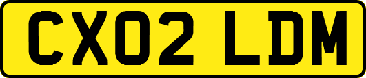 CX02LDM