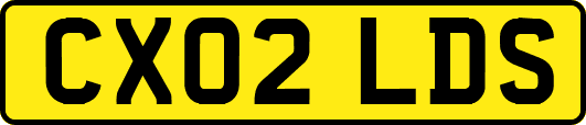CX02LDS