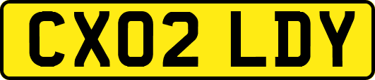 CX02LDY