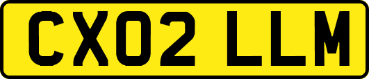CX02LLM