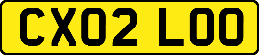 CX02LOO