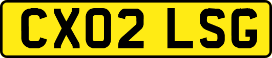 CX02LSG