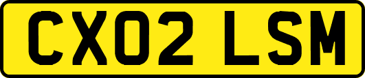 CX02LSM