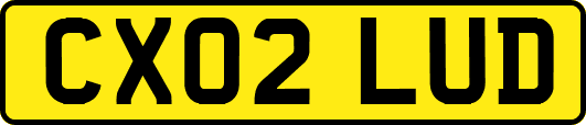 CX02LUD