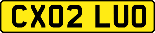 CX02LUO