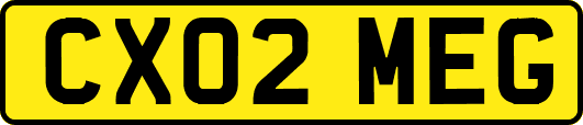 CX02MEG