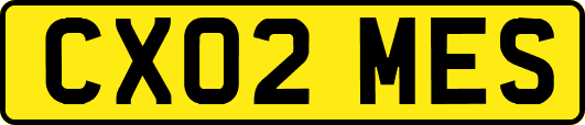CX02MES