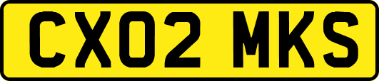 CX02MKS