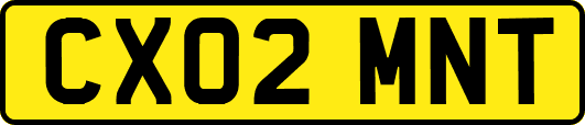 CX02MNT