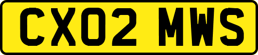 CX02MWS