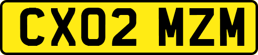 CX02MZM
