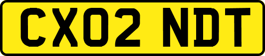 CX02NDT