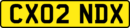 CX02NDX