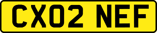 CX02NEF