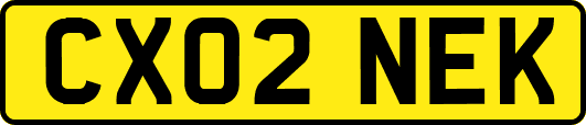 CX02NEK