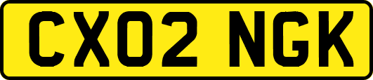 CX02NGK