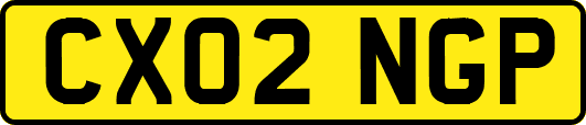 CX02NGP